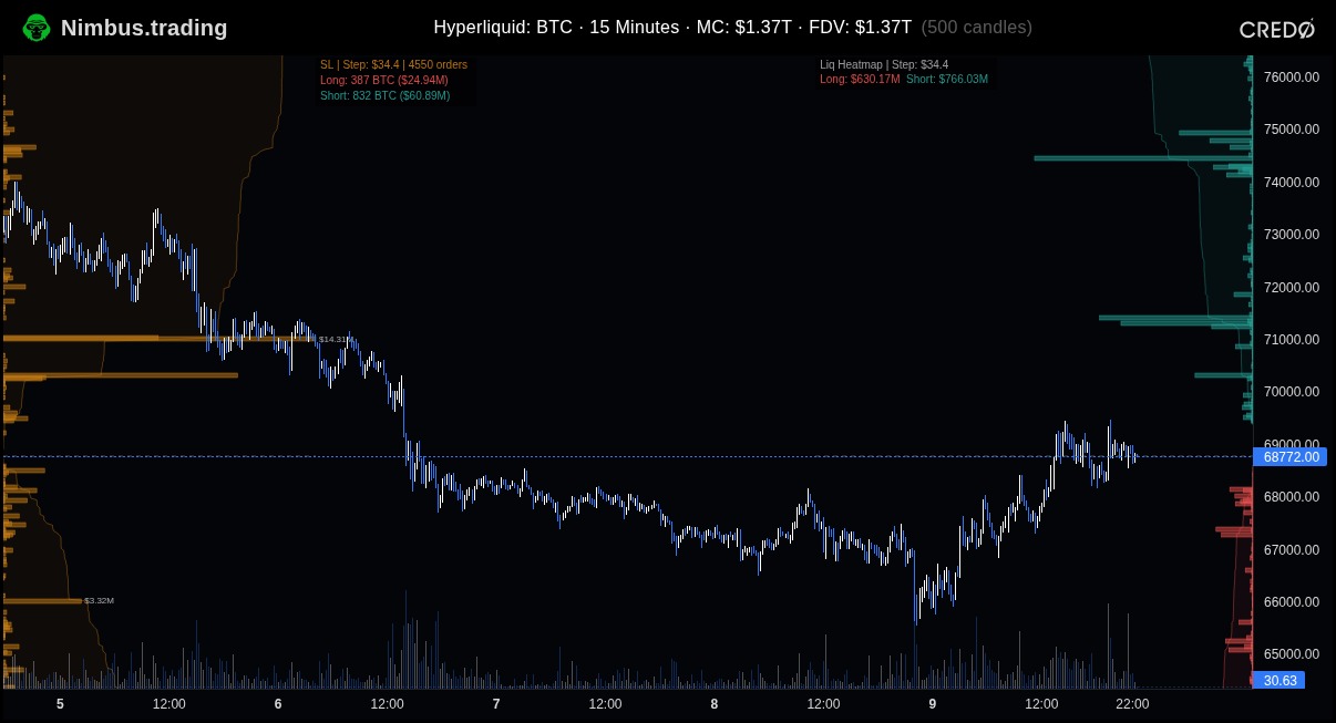 Liquidation Heatmap + Stop Losses